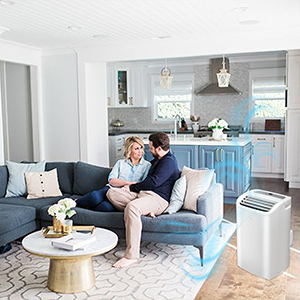 Equator 16000Btu PORTABLE AIR CONDITIONER Cool and Heat Indoor 700sf AutoSwing 110V